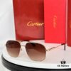 Cartier CT1462 Sunglasses, Size 59□16-145