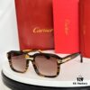 160‼️Cartier Première de Cartier CT0482S Latest Release Sunglasses Size: 55□19 145
