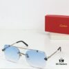 115 Cartier CT0029 Sunglasses