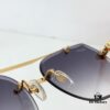 115 Cartier CT0029 Sunglasses