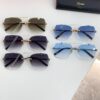 115 Cartier CT0029 Sunglasses