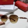 Cartier 2024 New Fashion Frameless Sunglasses, Retro Stylish Leopard Head Decor, Influencer Favorite Square Sunglasses, Unisex UV Protection Shades