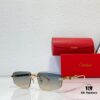 140 CARTIER CT0631 Eyeglasses Sunglasses