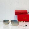 140 CARTIER CT0630 Eyeglasses Sunglasses