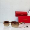 140 CARTIER CT0560 Sunglasses