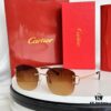 Authentic Cartier CT0032RS Sunglasses, Arrived in Full Color Options, Size: 52-19-145