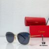 CARTIER CT0621S Photochromic Sunglasses