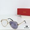 CARTIER CT0622S Photochromic Sunglasses