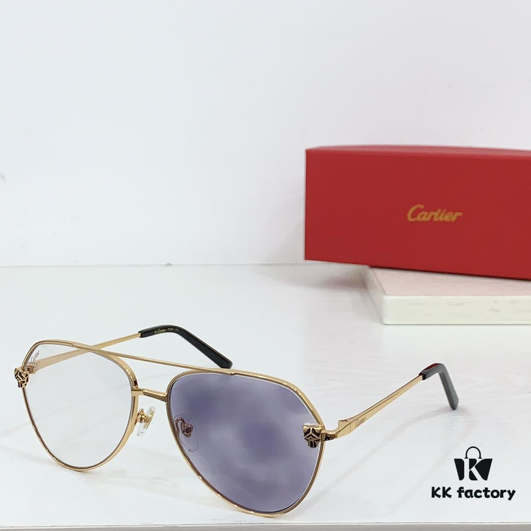 CARTIER CT0622S Photochromic Sunglasses