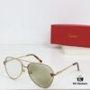 CARTIER CT0622S Photochromic Sunglasses