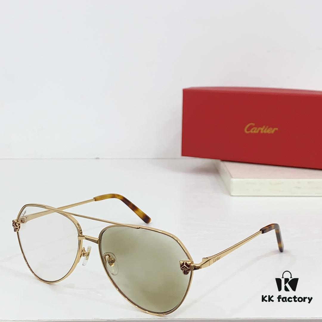 CARTIER CT0622S Photochromic Sunglasses