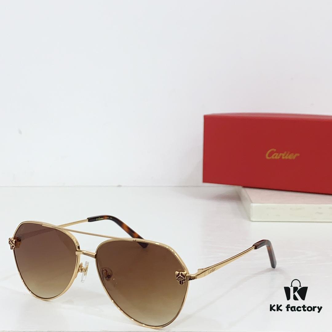 CARTIER CT0622S Photochromic Sunglasses