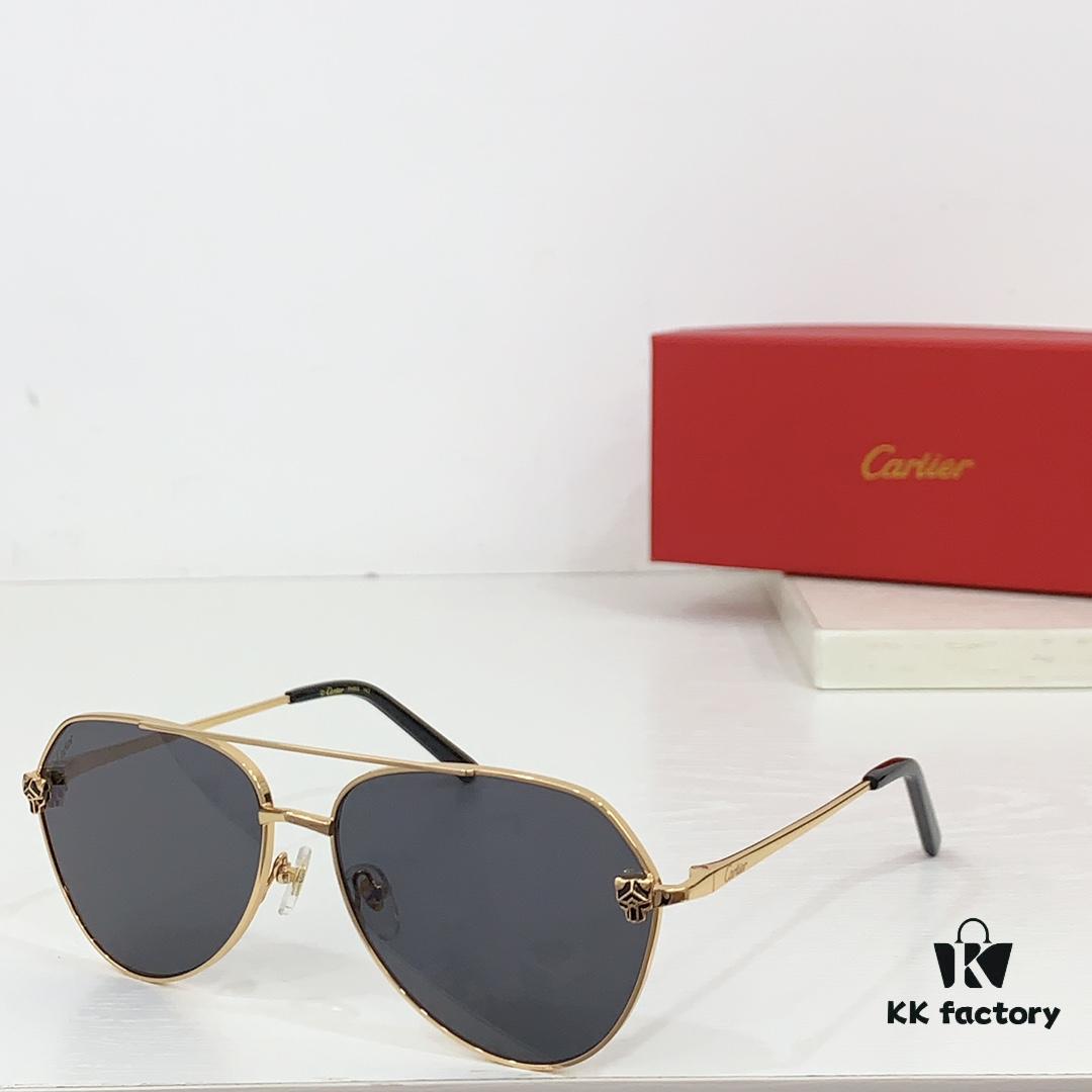 CARTIER CT0622S Photochromic Sunglasses