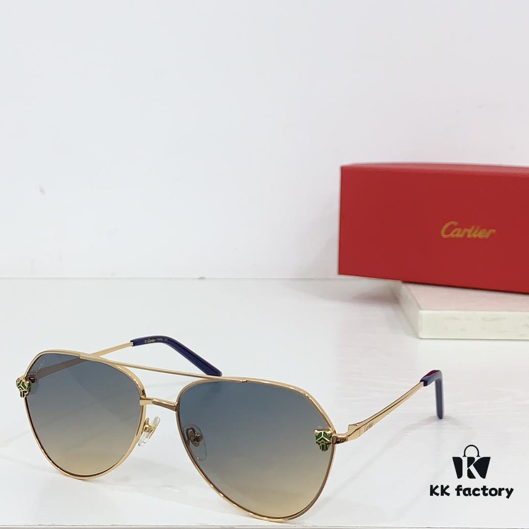 CARTIER CT0622S Photochromic Sunglasses