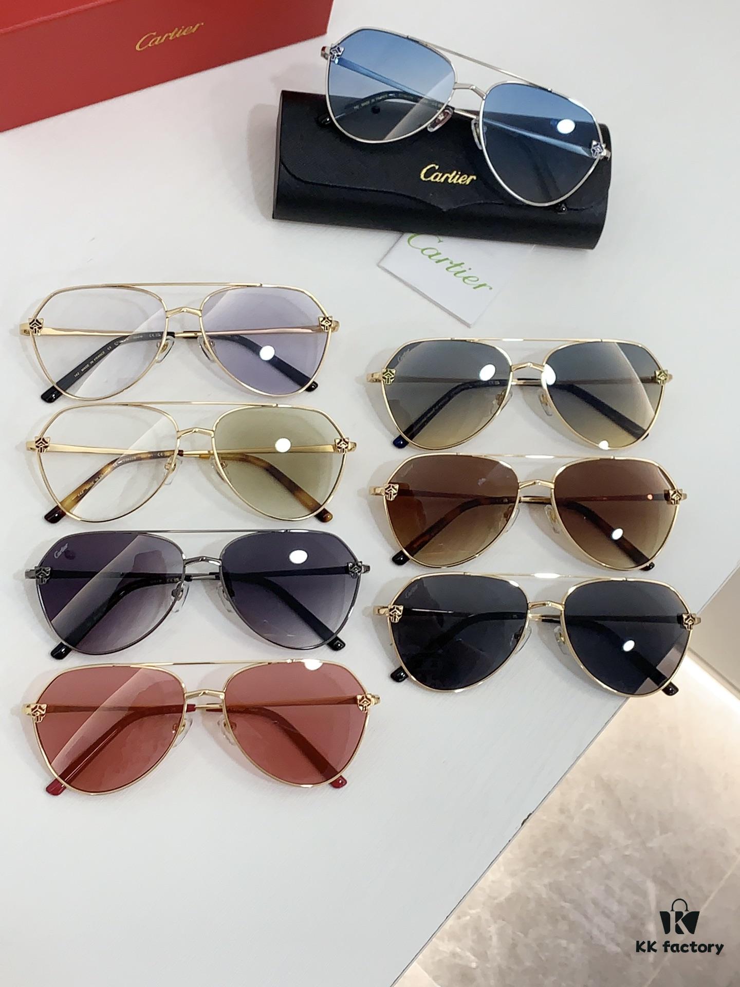 CARTIER CT0622S Photochromic Sunglasses