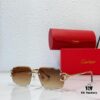 140 CARTIER CT0618 Sunglasses