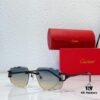 140 CARTIER CT0618 Sunglasses