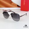 110 Cartier CT0165S Sunglasses
