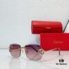 140 CARTIER Sunglasses Model CT0092 Size 55-18-145