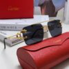 Cartier Unisex Double-Bar Cutout Rimless Sunglasses with Leopard Head Ornament, Vintage Bold and Elegant Style