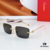 140 Cartier CT0367S Sunglasses