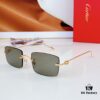 140 Cartier CT0367S Sunglasses