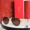 Cartier CT0195S High-Quality Men's and Women's Classic Aviator Sunglasses with Pioneering Logo Detail on Lenses and Screws