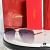 Cartier CT0036S Sunglasses