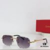 140 Cartier CT0281 Sunglasses