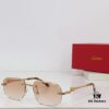 140 Cartier CT0281 Sunglasses