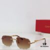 140 Cartier CT0281 Sunglasses
