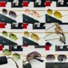 Cartier CT0355S Sunglasses, Size 64-15-140, Universal Frame Shape, Minimalist and Elegant, Fashionable and Casual, Original Color