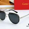 Cartier CT0195S Sunglasses