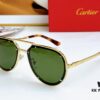 Cartier CT0195S Sunglasses