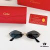 Cartier CT0433S Sunglasses