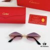 Cartier CT0433S Sunglasses