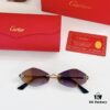 Cartier CT0433S Sunglasses
