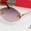 Cartier CT0433S Sunglasses