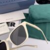 GUCCI - Polarized Sunglasses 2025 Spring New Arrival Trendy High-Quality Round Frame Polarized Sunglasses Comfortable Wear Fashion Influencer Style Women's HD Polarized Sunglasses 🕶️ High-Quality TR Frame Model: G963