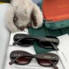 【GUCCI】2025 Spring New Arrival Trendy Popular Fashion Small-Frame Sunglasses High Quality Comfortable Wear Influencer Style Shades Model: G6988