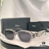 DIOR DiorOblique S2I Sunglasses