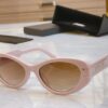 Dior New Model Sunglasses, MODEL: Diorsignature B8U, SIZE: 55□19-145