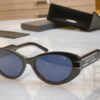 Dior New Model Sunglasses, MODEL: Diorsignature B8U, SIZE: 55□19-145