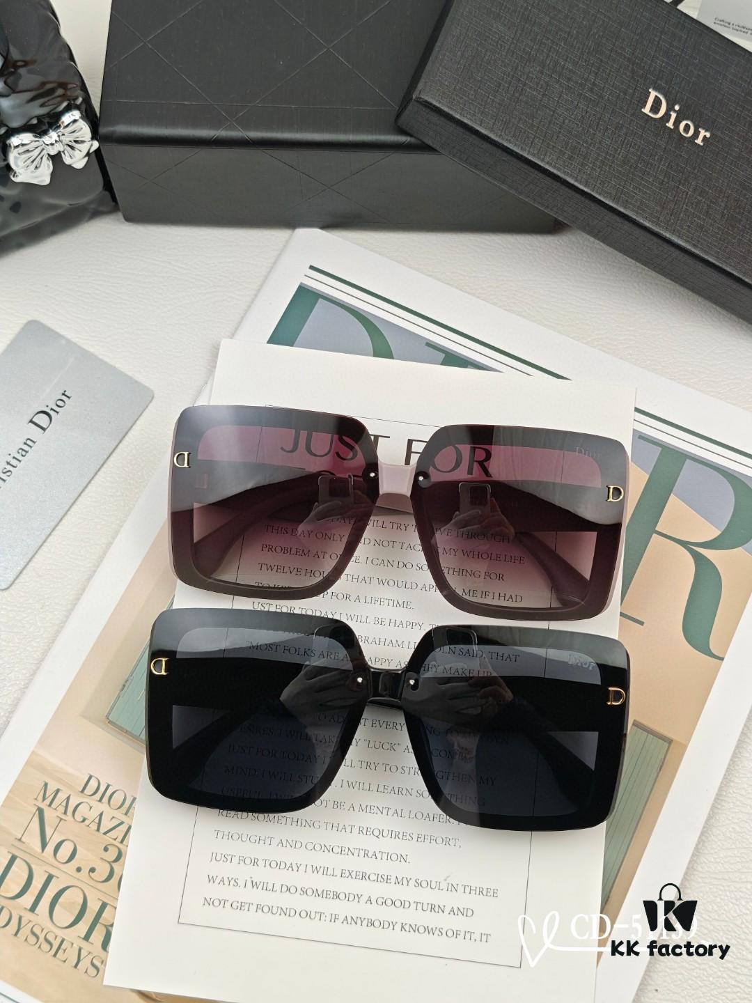 DIOR France | Polarized Sunglasses with TR90 Frame and Plutonite Lens