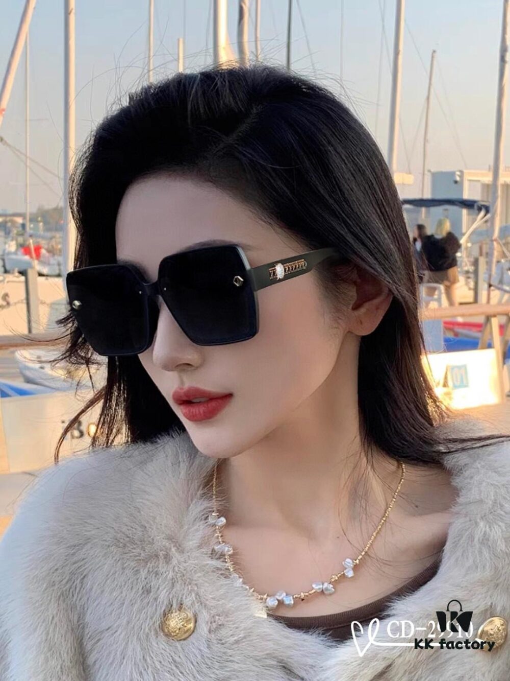 DIOR France | TR90 Lightweight Sunglasses with Polarized Lenses, Model 29910