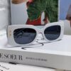 Dior DIORPACIFIC S1U Classic Two-Tone Sunglasses with Golden Star Hardware