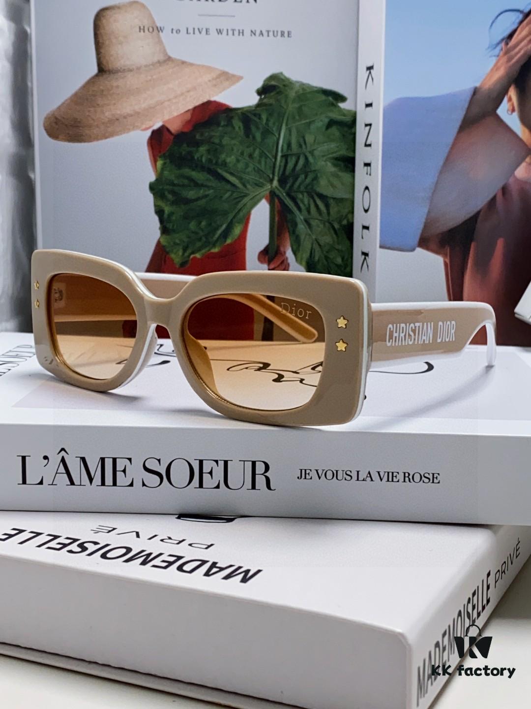 DIOR Pacific S1U Classic Two-Tone Sunglasses