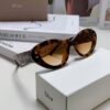 DIOR Cat-Eye Fashion Women's Sunglasses with Classic Two-Tone Design