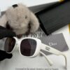 【DIOR】2025 Spring New Arrival Trendy Fashion Square Polarized Sunglasses High Quality Comfortable Wear Influencer Favorite Model: D8106 Eyewear Sunglasses