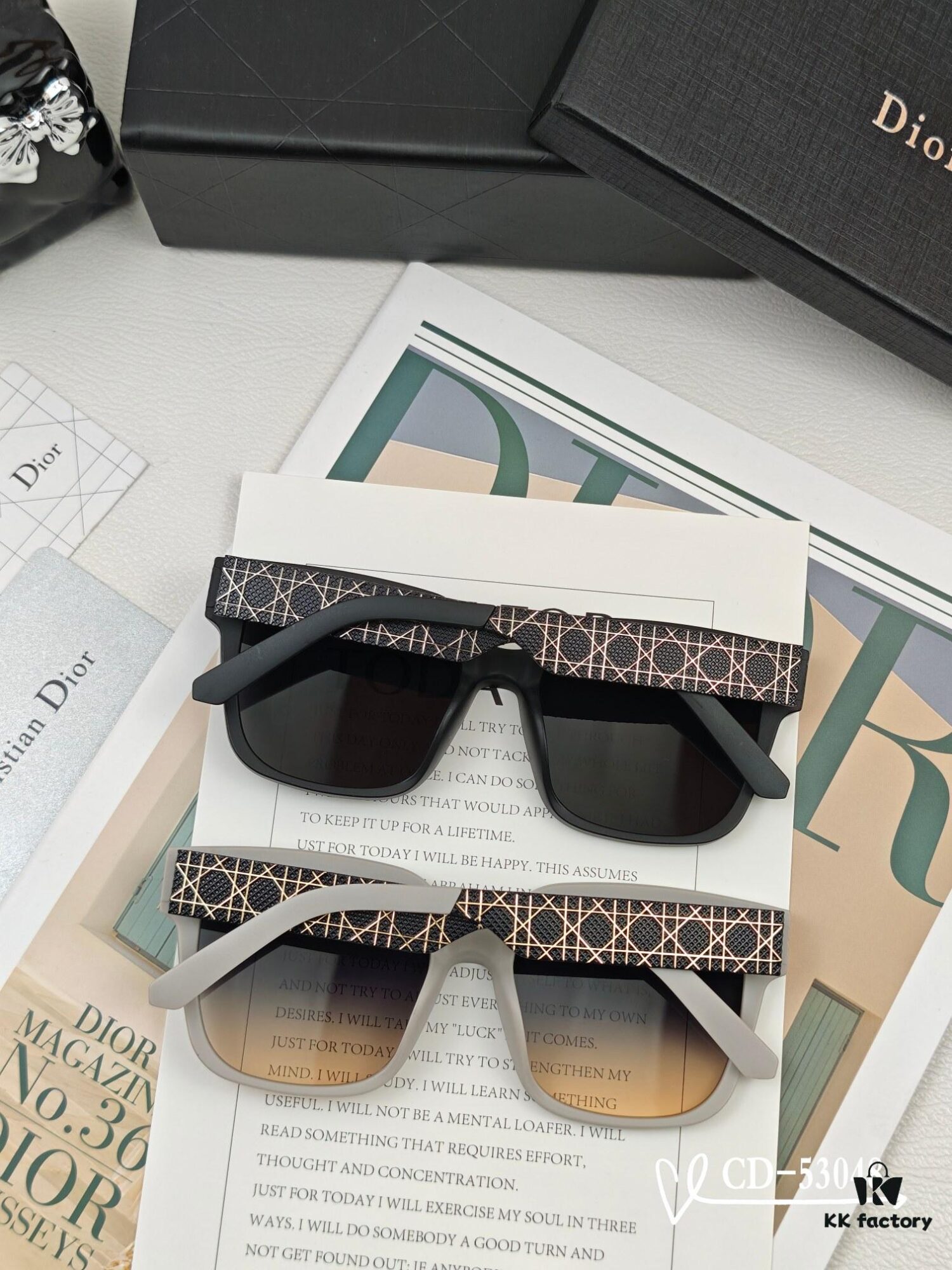 DIOR France TR90 Lightweight Sunglasses with Polarized Lenses, Model 53048